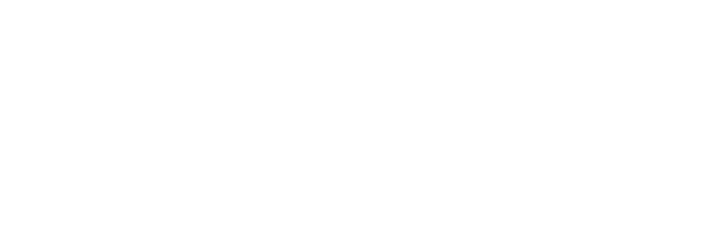 送料無料 パーツ ブリッツ エアクリーナー エアフィルター Blitz カーボンパワーエアクリーナー コアタイプ ニッサン A3c 2 ニッサン スカイライン Pv36 Vq35hr 06年11月 オートパーツエージェンシー2号店